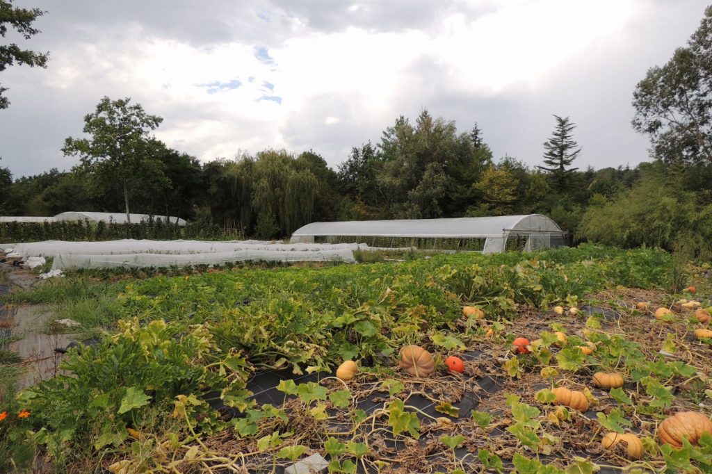 Les Jardins du Pont de Chêne - producteur local