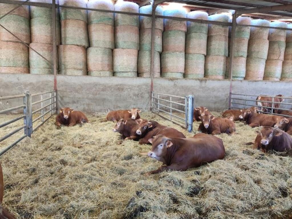 La Ferme des Gones - producteur local