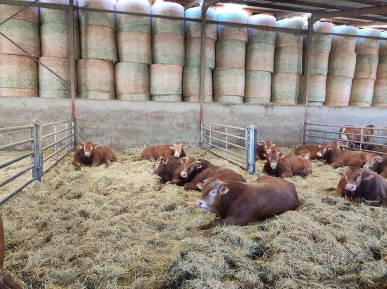 La Ferme des Gones - producteur local