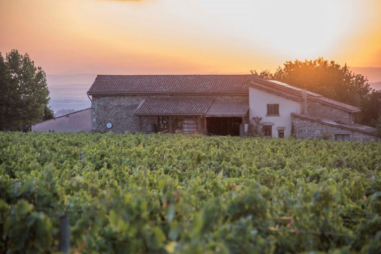 Domaine du Clos Saint Marc - producteur local