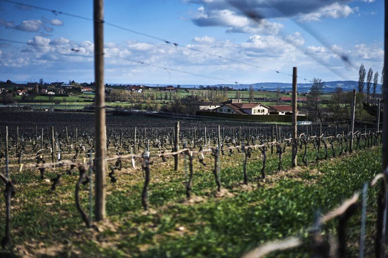 Domaine de Prapin - producteur local