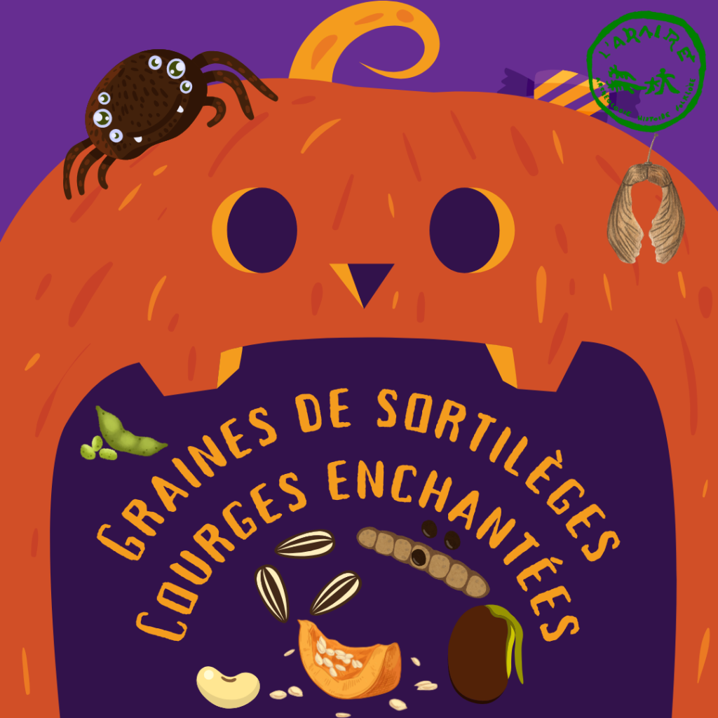 Affiche de l'événement Atelier Graines de Sortilèges & Courges Enchantées