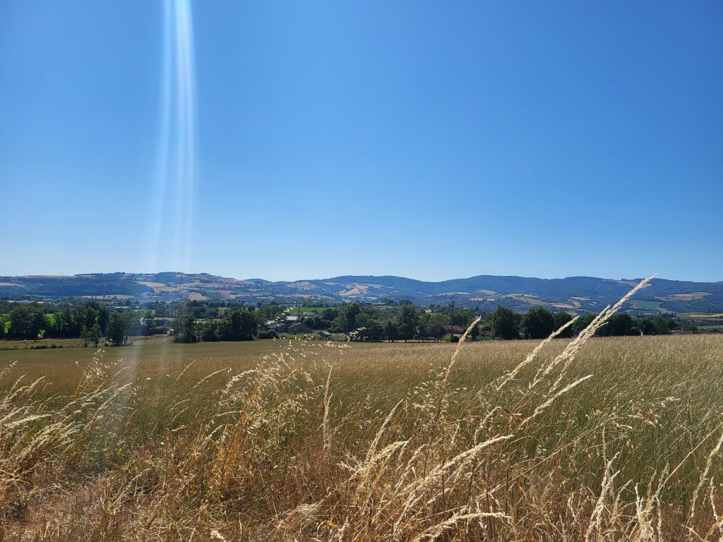Affiche de l'événement Balade à VTT électrique: Savigny coteaux et prairies