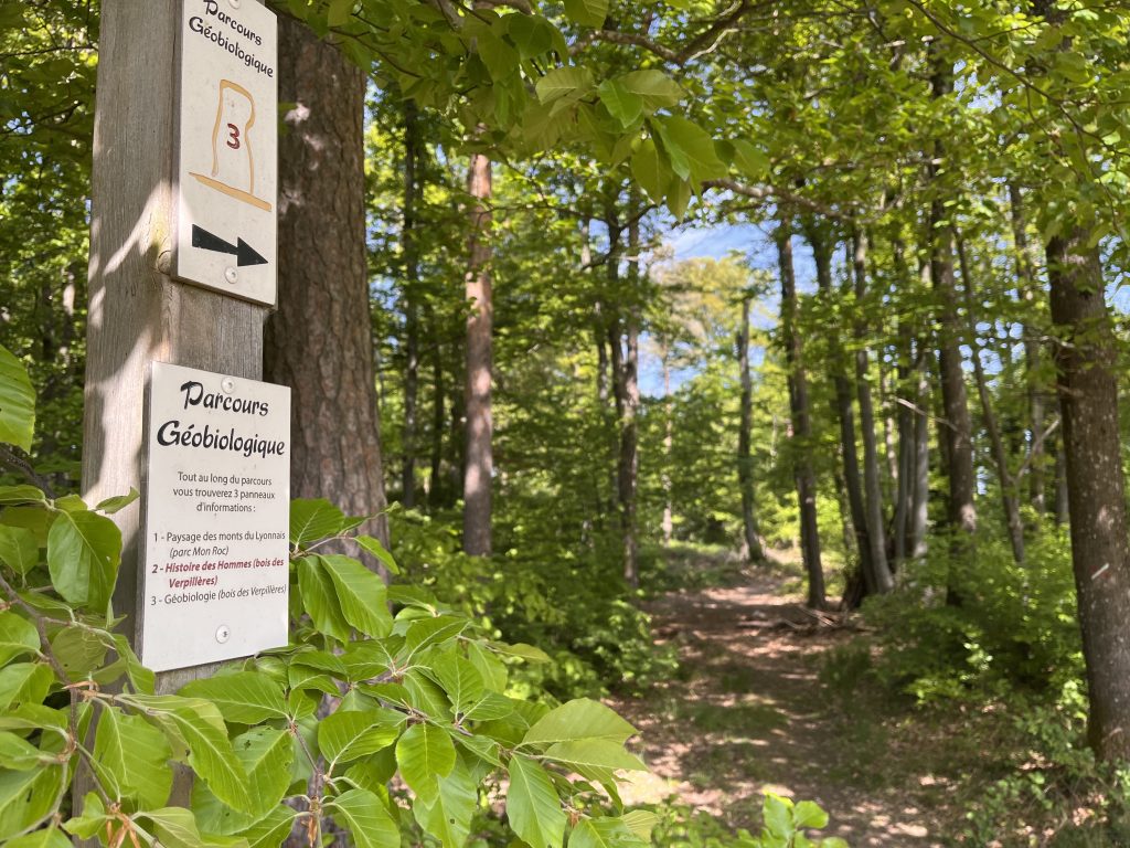 Affiche de l'événement Balade commentée géo biologique et botanique