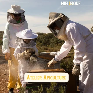 Affiche de l'événement Baptême d’apiculture