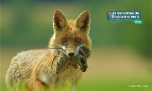 Affiche de l'événement Biodiversité des milieux