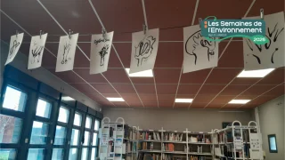 Affiche de l'événement Exposition La forêt dans tous ses états