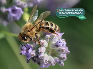Affiche de l'événement Exposition photo: Zoom sur la biodiversité
