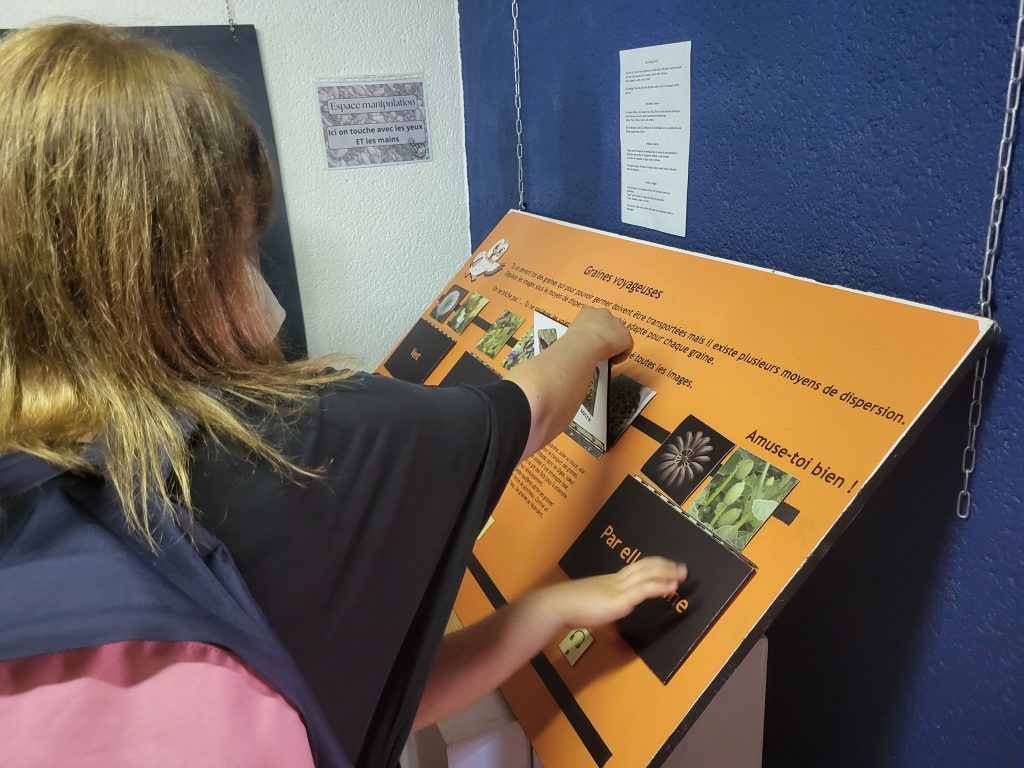 Affiche de l'événement Jeu de piste "le jardin merveilleux