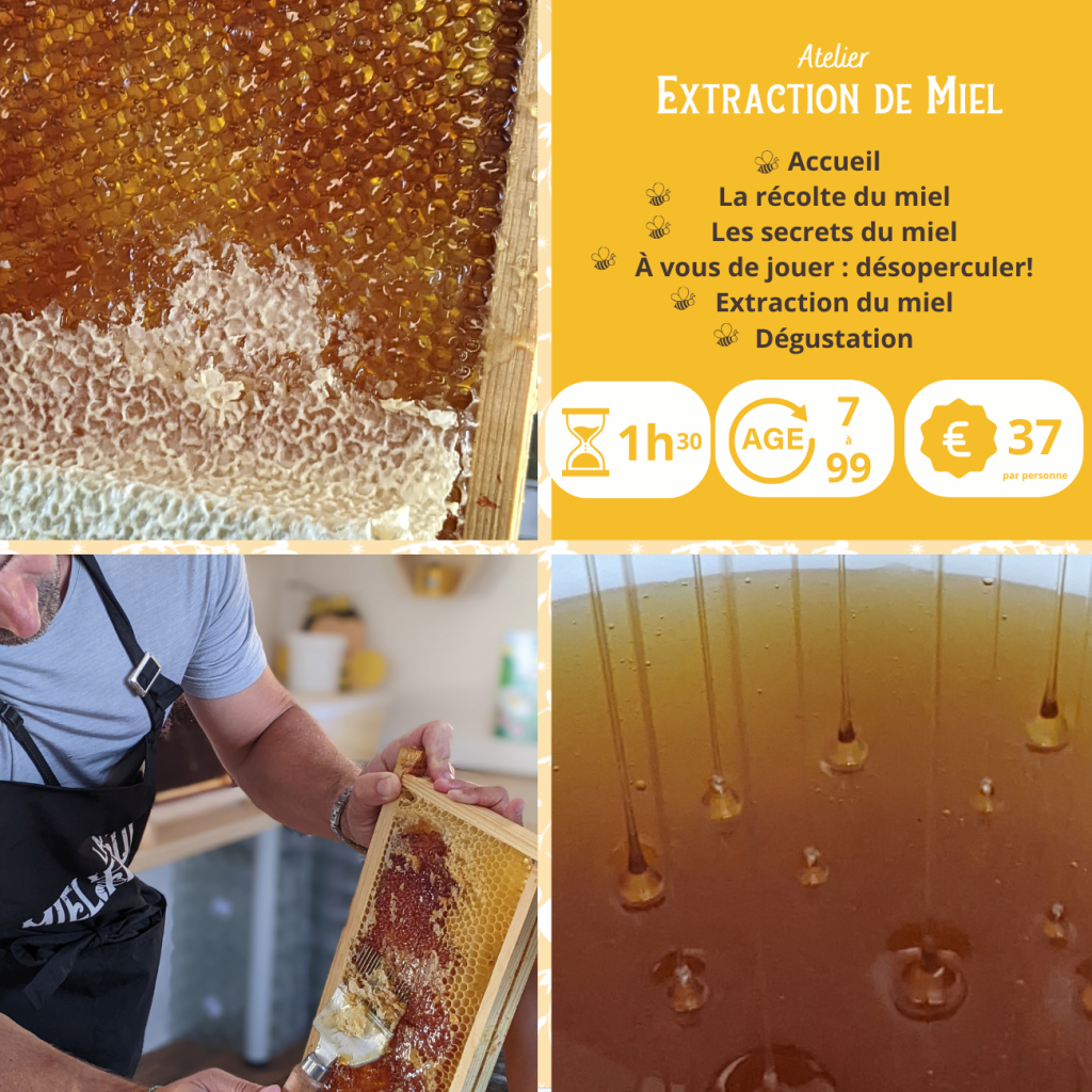 Affiche de l'événement Réalisez votre extraction de miel