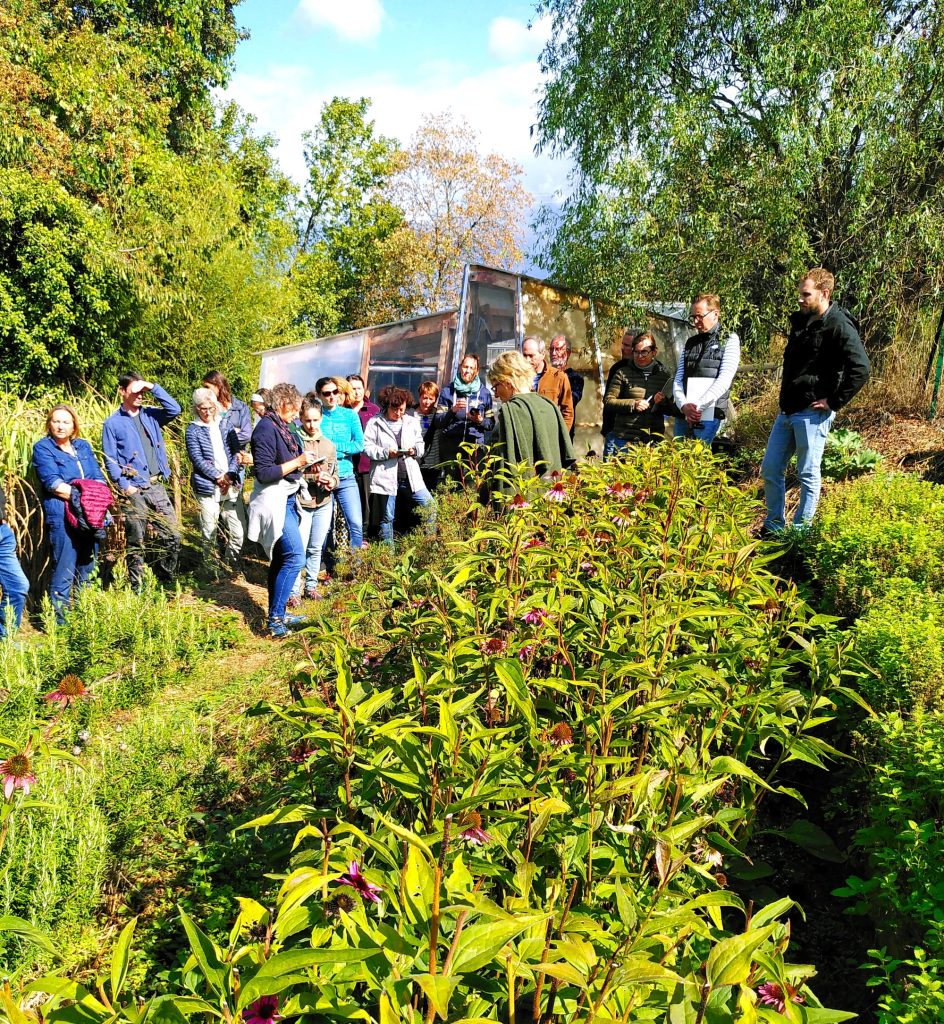 Affiche de l'événement Visite accompagnée d’un jardin en permaculture