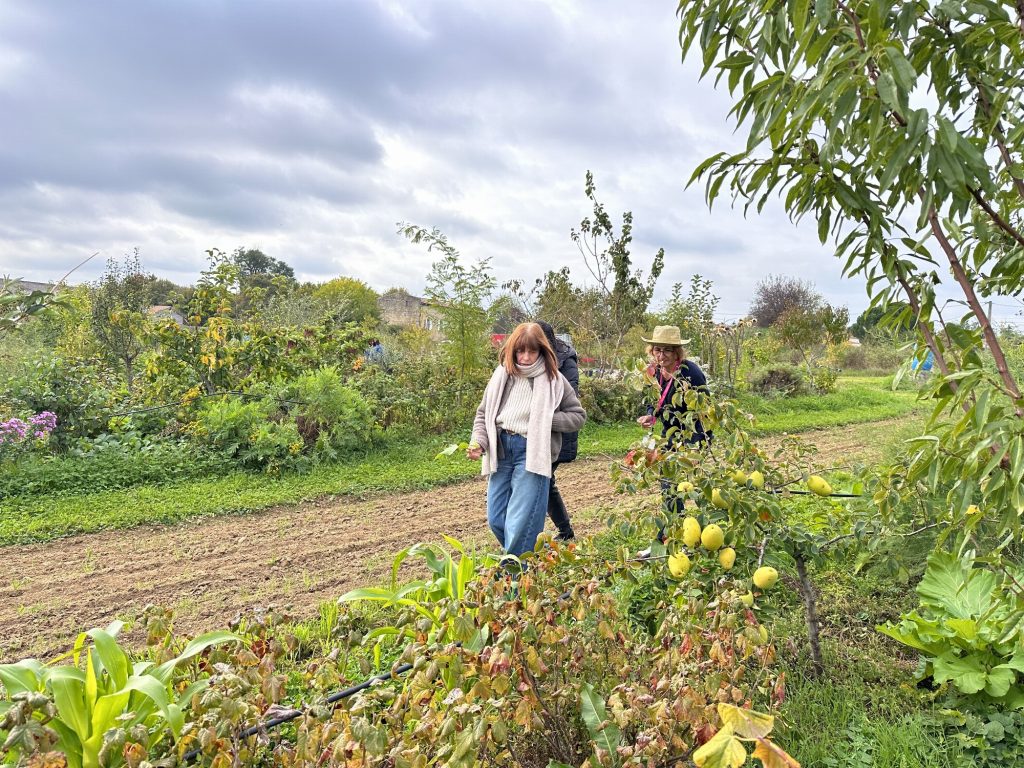 Affiche de l'événement Visite du jardin-forêt