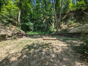 Bois de Serres à Dardilly dans l’Ouest lyonnais