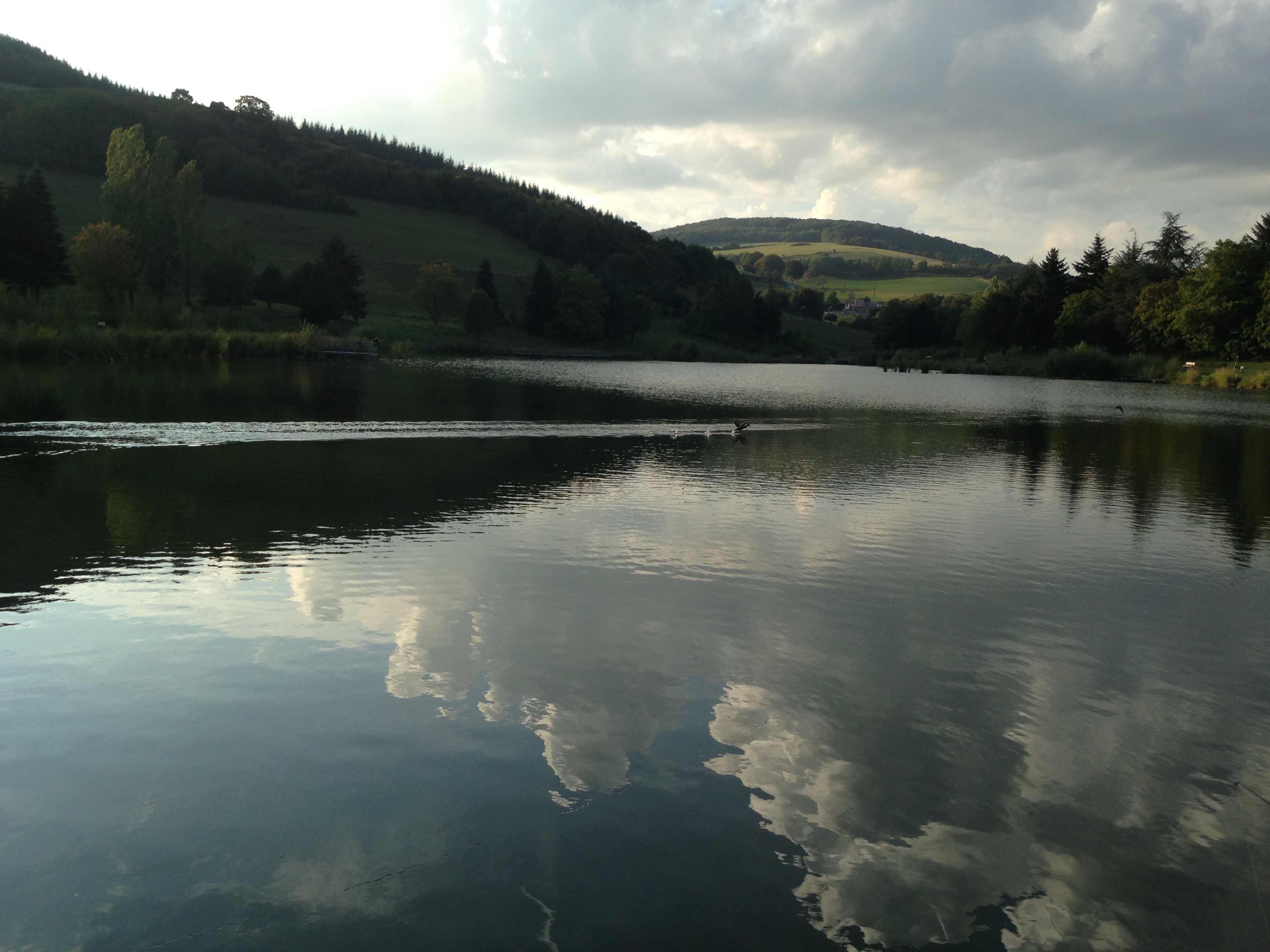 Lac du Ronzey à Yzeron dans les Monts du Lyonnais.