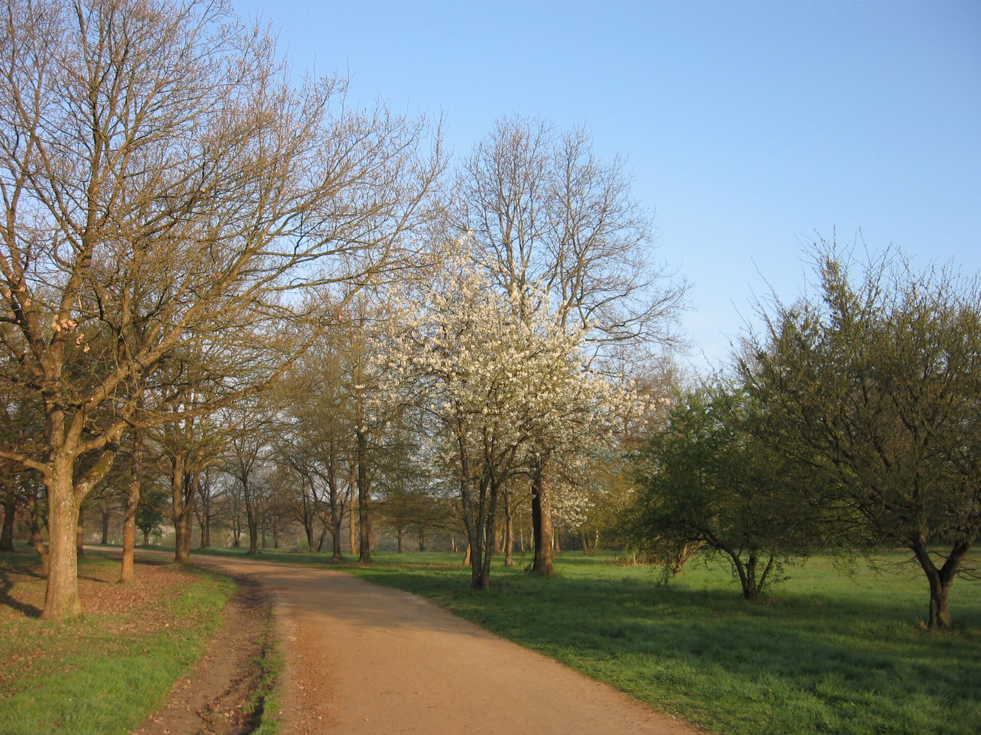 Parc de Lacroix-Laval dans l’Ouest lyonnais