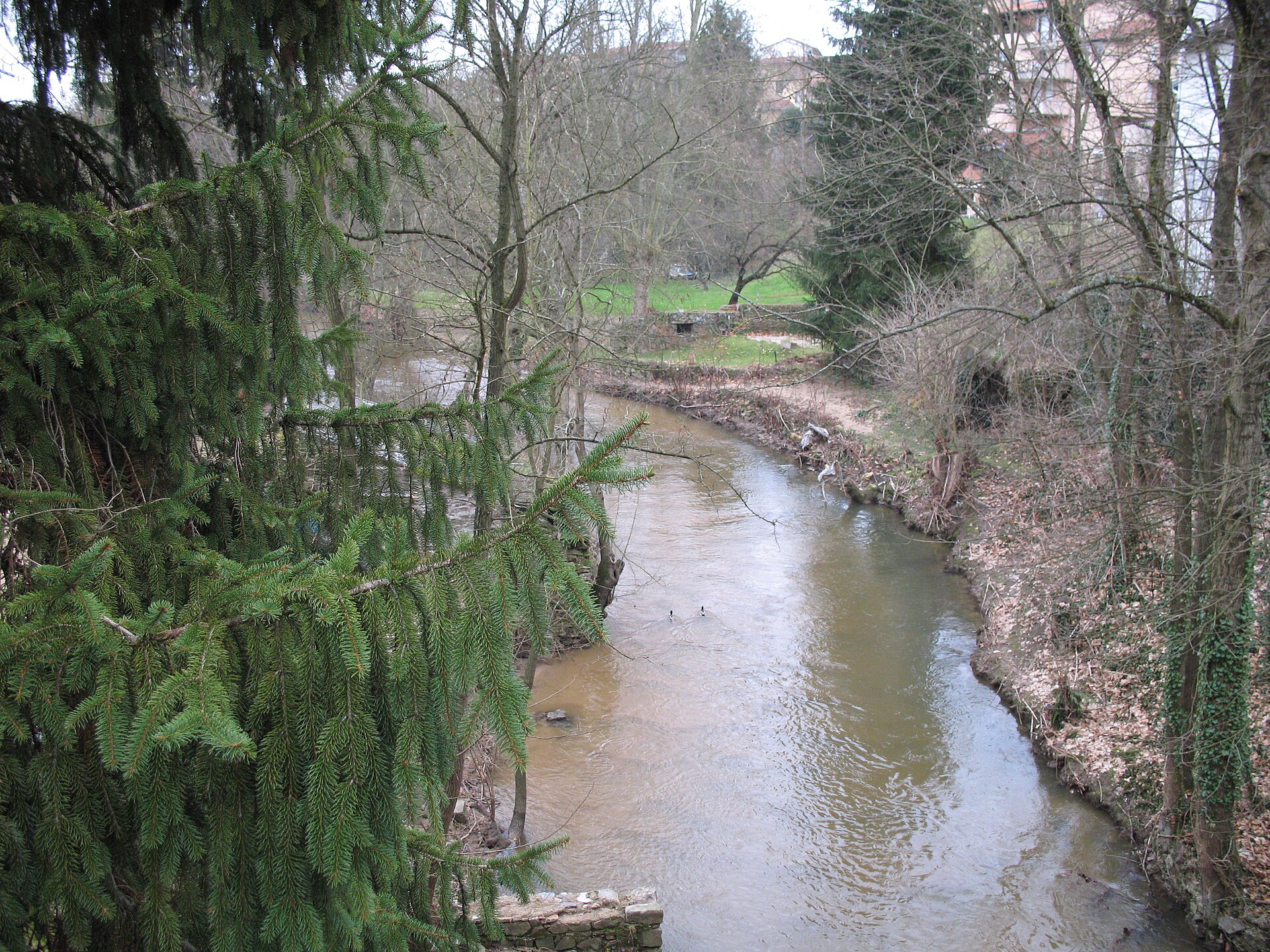 L’Yzeron à Francheville dans le Rhône