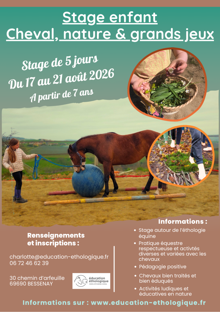 Affiche de l'événement Stage enfant cheval, nature et grands jeux